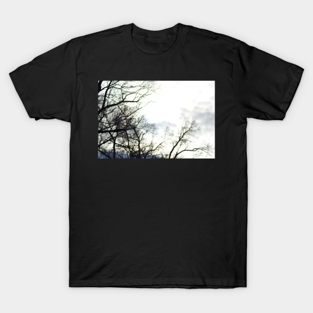 distorted tree T-Shirt by Conscious Creations